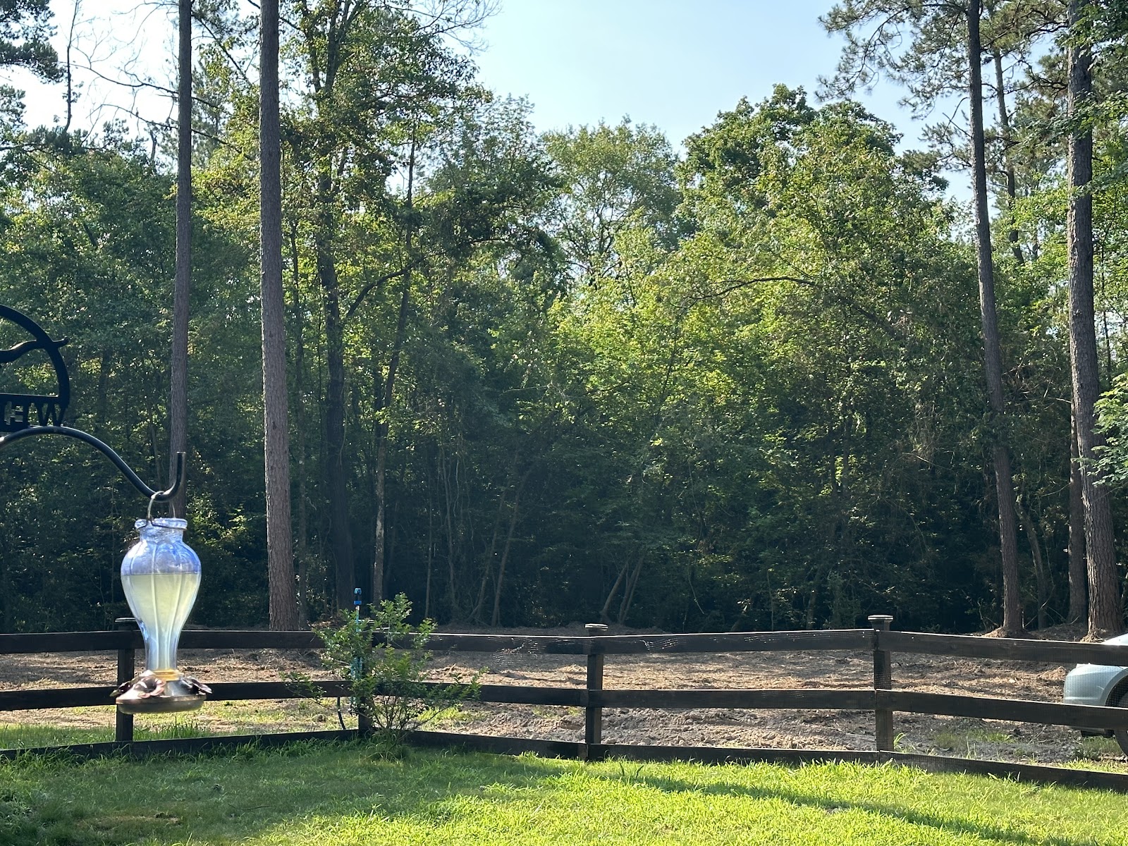 Land clearing results — customer photo by Rob Bolton